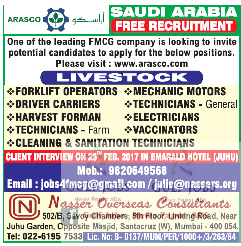 Jobs at Saudi Arabia