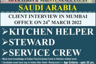 Saudi job offer