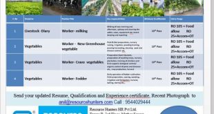 WALK IN INTERVIEW AT COCHIN FOR OMAN